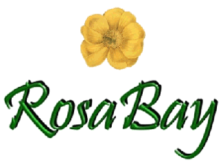 Rosabay Body Care - Natural olive oil skin care